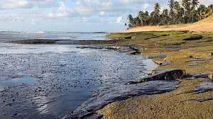 Imagem Impacto do vazamento de óleo nas praias será tema de audiência pública