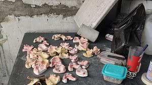 Divulgação / Polícia Civil