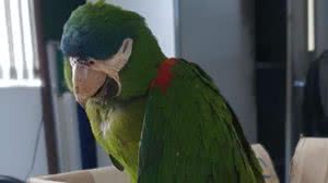 Divulgação/Metrô de SP