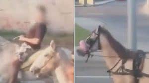 Foto: Reprodução/Redes Sociais