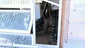 Reprodução / TV Globo