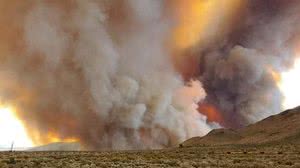 Foto: Reprodução / Twitter