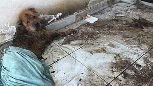 Reprodução / Instagram