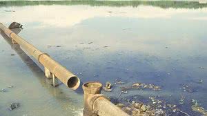 Esgoto sem tratamento sendo despejado no rio Poxim em Aracaju, Sergipe | Luis Carlos Moreira/VEJA