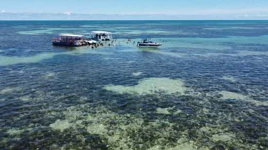 Imagem Operação Oceano mostra o turismo predatório e uma lição de preservação na Costa dos Corais