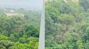 Imagem Vídeo: moradores denunciam desmatamento de área verde no Antares