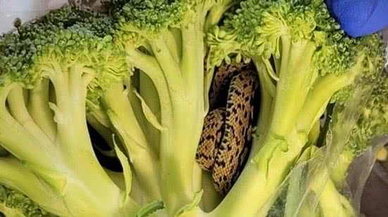 Reprodução/Facebook