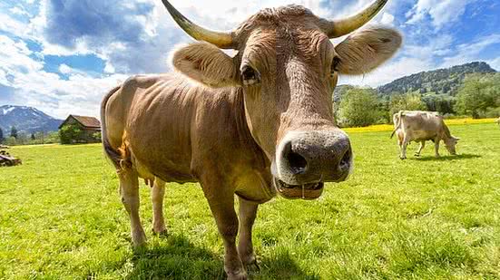 Ilustração | Pexels