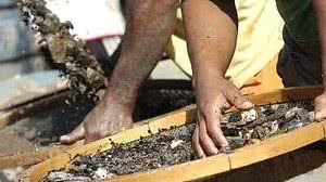 Foto: Reprodução/Euler Junior-EM-D.A Press