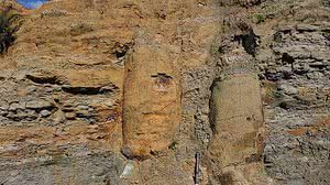 Achado no Paraná mostra vegetação da era da separação dos continentes | Foto: Divulgação/Arquivo Pessoal