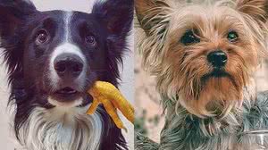 Foto: Reprodução/Facebook