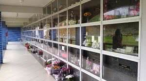 Divulgação / Grupo Zelo / DINO