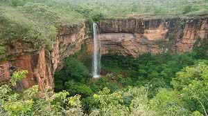 Divulgação / ICMBio