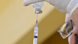 Imagem Novo estoque de soro antirrábico e antibotrópico chega ao RN