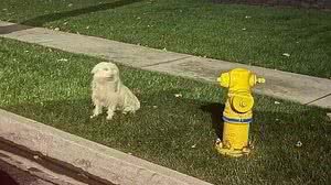 Foto: Reprodução/Redes Sociais