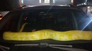 Reprodução Redes Sociais