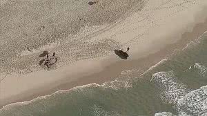 Reprodução TV Globo