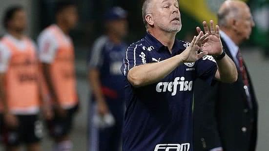 Reprodução/Agência Palmeiras