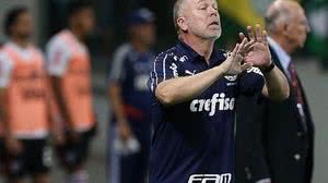 Reprodução/Agência Palmeiras