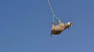 Ministério do Meio-Ambiente, Florestas e Turismo da Namíbia