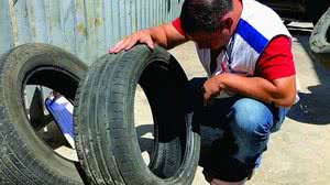 Equipes também estarão atentas à presença de roedores e escorpiões | Foto: Arquivo SMS