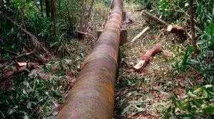 Imagem BRK tem 24 horas para explicar ao Procon falta d'água em quatro bairros da capital