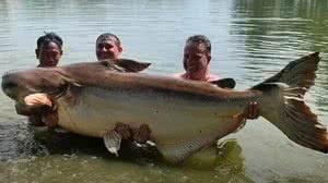 Foto: Reprodução/Youtube