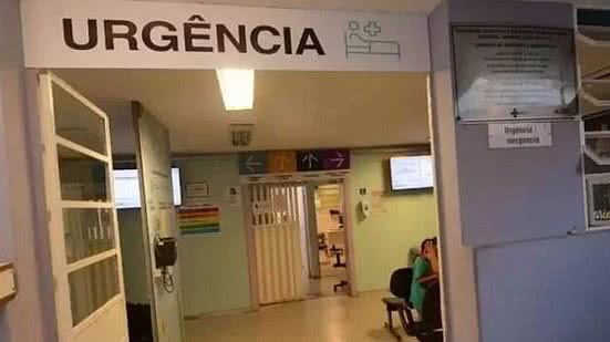 Ambos apresentaram sintomas depois de serem mordidos por um morcego hematófago | Foto: Divulgação/FHEMIG