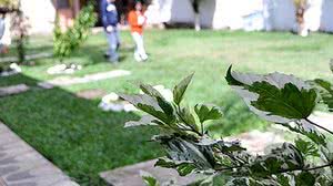 Imagem Governo quer dobrar vagas em comunidades terapêuticas