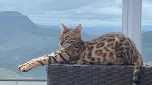 Redes Sociais / Reprodução