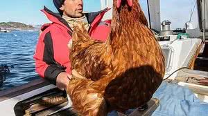 Reprodução / Instagram