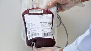 Carla Cleto/Agência Alagoas