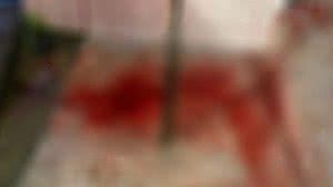 Frente da casa estava com muito sangue | Foto: Cortesia ao TNH1