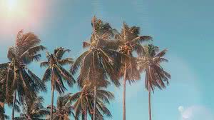 Foto: Reprodução/Pexels