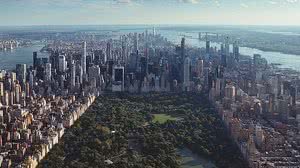 O Central Park, em Nova York, visto de cima | Foto: Jermaine Ee/Unsplash