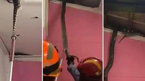 Foto: Reprodução/Redes Sociais