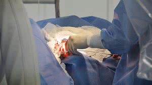 Mais de 1.700 usuários foram atendidos no HGE, HEA e Ambulatórios no feriado de fim de ano | Carla Cleto