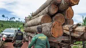 Medida atende pedido do Ministério do Meio Ambiente | Foto: Vinícius Mendonça / Ibama
