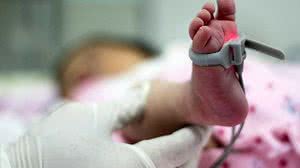 Foto: Rodrigo Nunes / MS