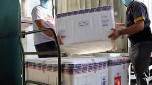 Foto: Carla Cleto / Agência Alagoas