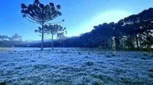 Dia dos Namorados foi o mais frio de Santa Catarina neste ano. Urupema chegou a marcar -6,1 °C | Foto: Reprodução/Mycchel Legnaghi-MetSul -Meteorologia
