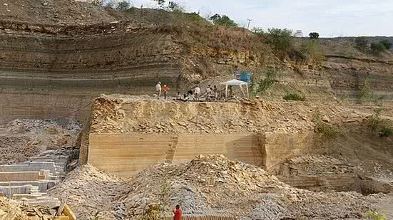 Imagem Fósseis de animais aquáticos de mais de 100 milhões de anos são encontrados no CE