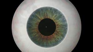 Sífilis, se não for detectada precocemente, pode trazer complicações sérias e afetar a visão | Flinders University College of Medicine and Public Health, Adelaide, Australia