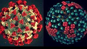 Imagem Família diz que homem foi diagnosticado com Covid, gripe e dengue, em Goiás