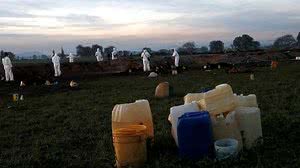 REUTERS/Henry Romero