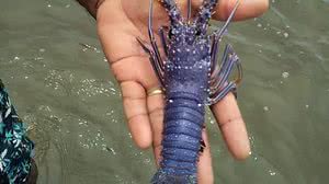 Foto: Arquivo pessoal