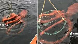 Foto: Reprodução/Redes Sociais