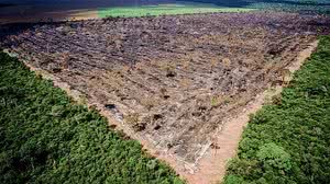 Mayke Toscno/Gcom MT