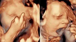 Reprodução / Kennedy News and Media