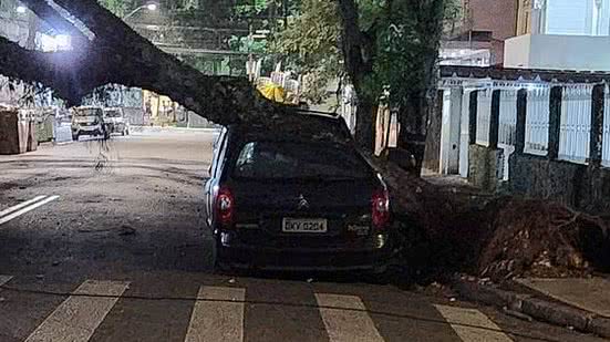 Divulgação / Defesa Civil